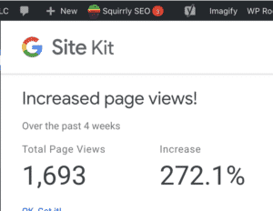 Squirrly SEO Results