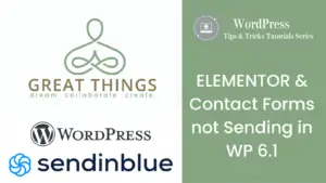 WP 6.1 Forms and Elementor Forms are not sending